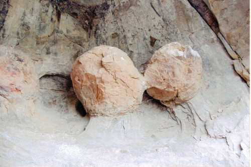 I stood and marveled