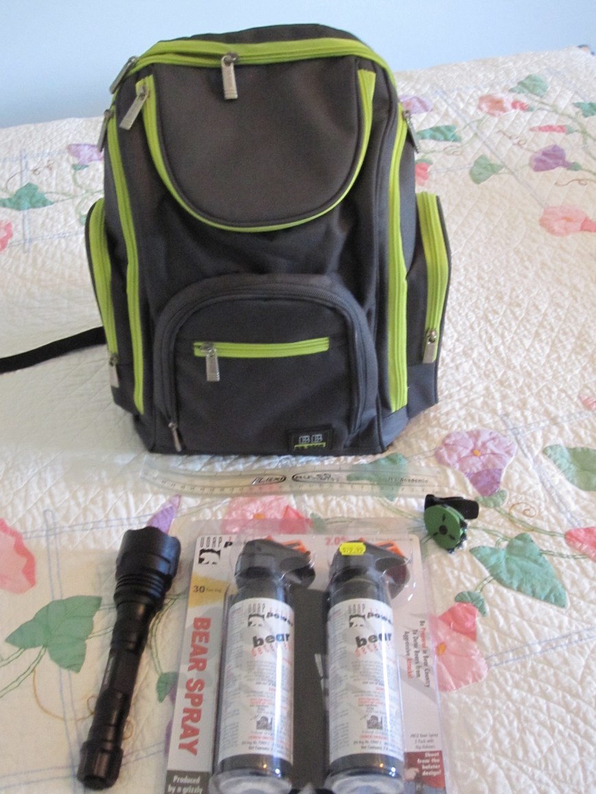 (Really a diaper bag)