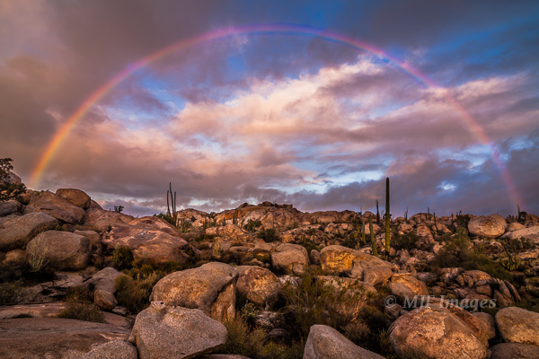 A rare morning rainbow in the desert graces my campsite one morning on the Baja Peninsula, Mexico.  Click for purchase options.
