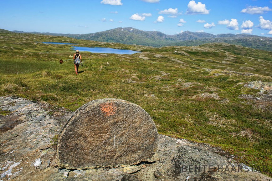 kvernstein_hogfjellet_cw-2